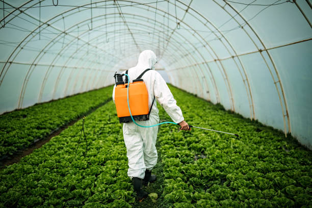 Best Residential Pest Control  in St George, UT