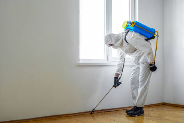 Best Termite Control Services  in St George, UT