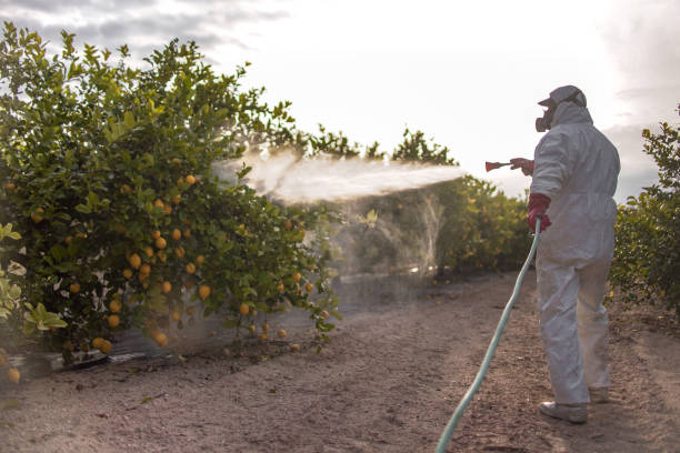 Best Pest Removal Services  in St George, UT