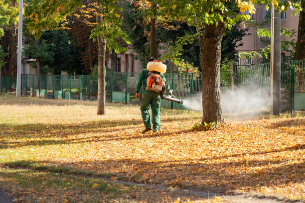 Professional Pest Control in St George, UT
